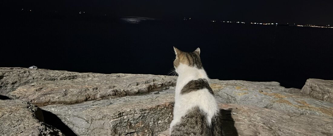 Hayata Sorduğumuz Sorular